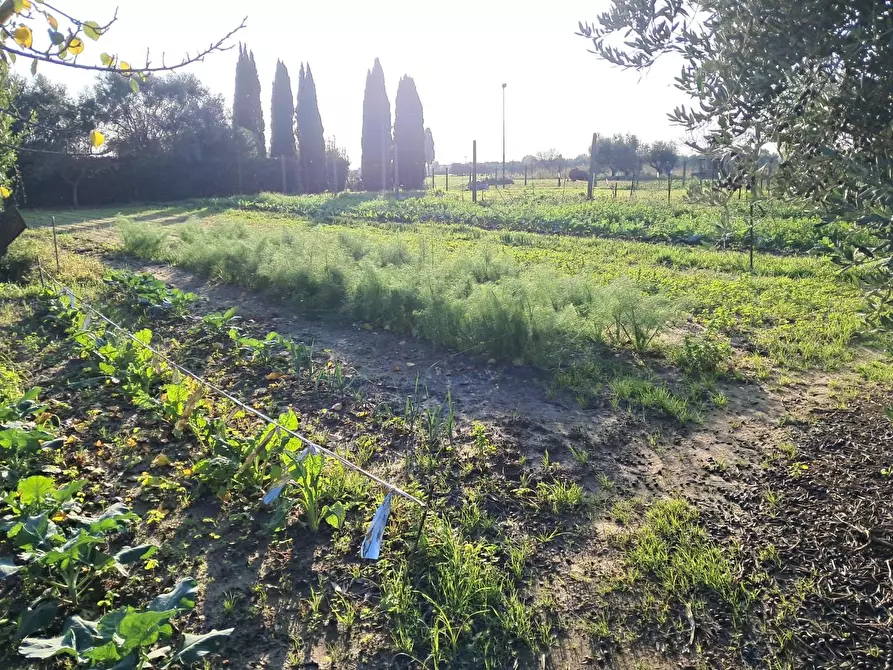 Immagine 1 di Casa bifamiliare in vendita  a Cascina