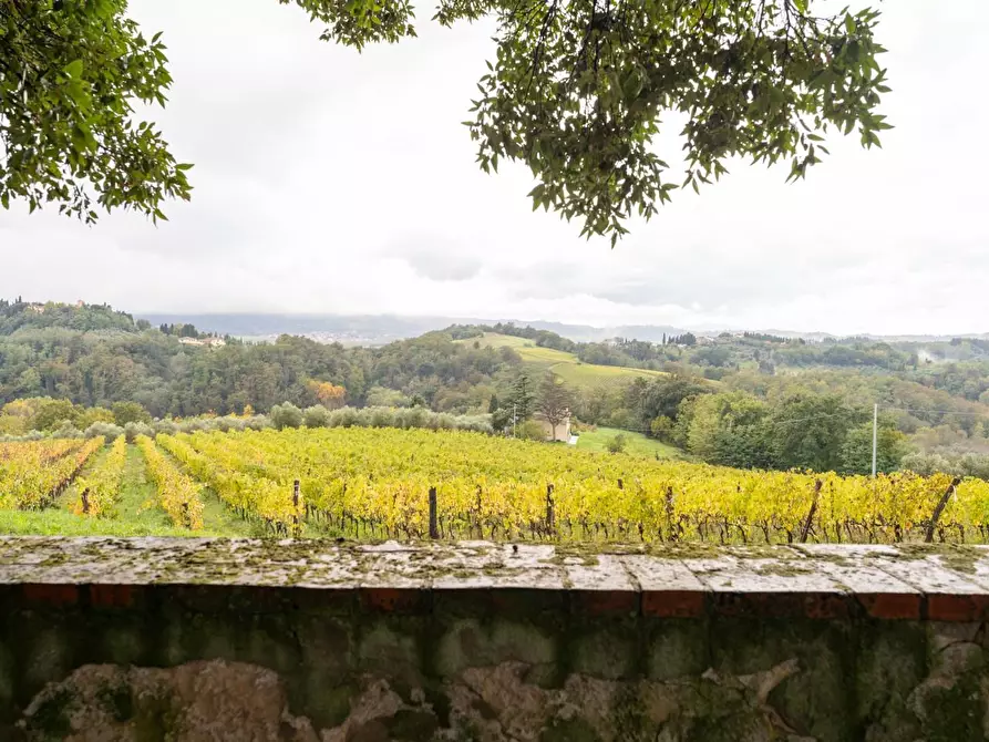 Immagine 5 di Villa in vendita  a Terricciola