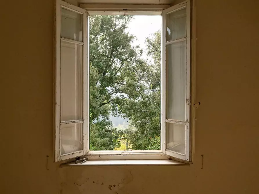 Immagine 25 di Villa in vendita  a Terricciola