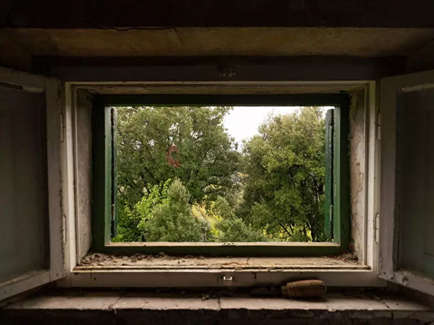 Immagine 24 di Villa in vendita  a Terricciola