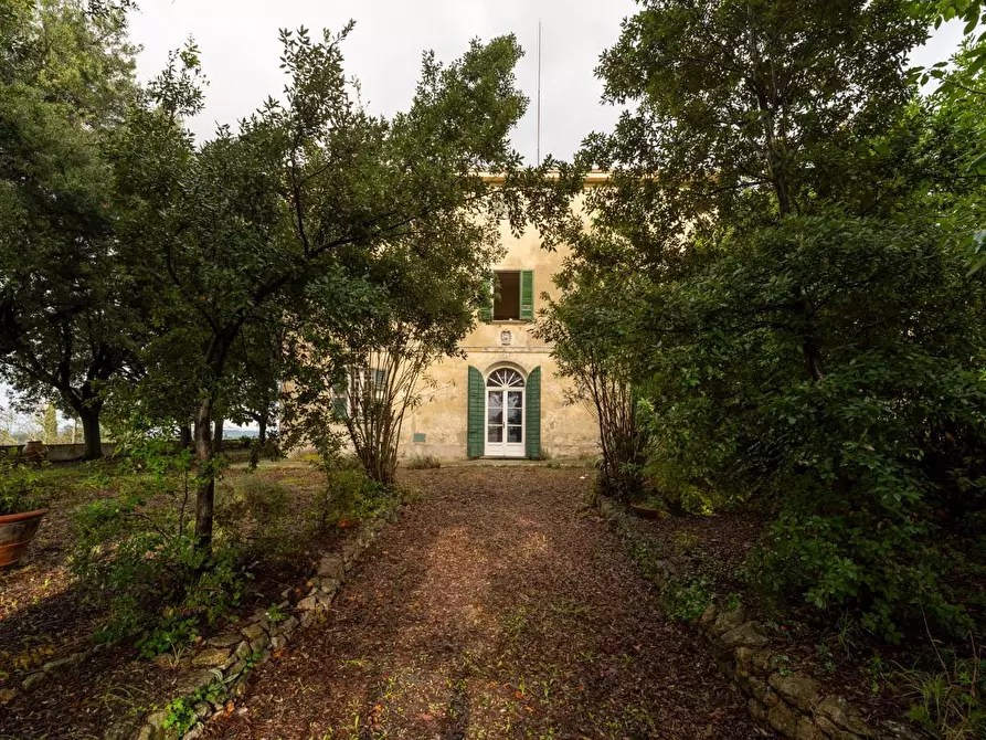Immagine 45 di Villa in vendita  a Terricciola