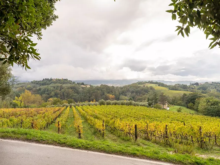 Immagine 4 di Villa in vendita  a Terricciola