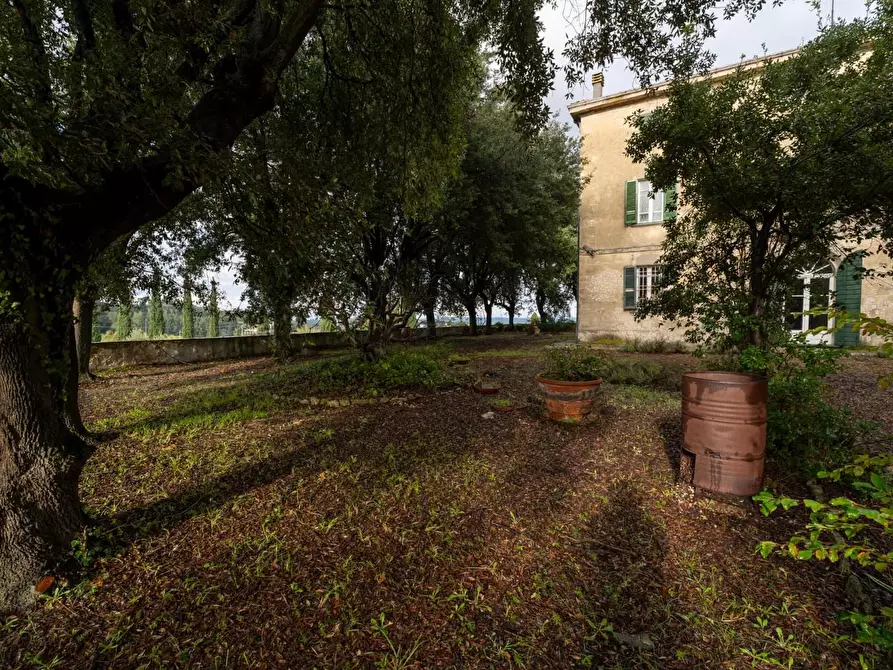 Immagine 44 di Villa in vendita  a Terricciola