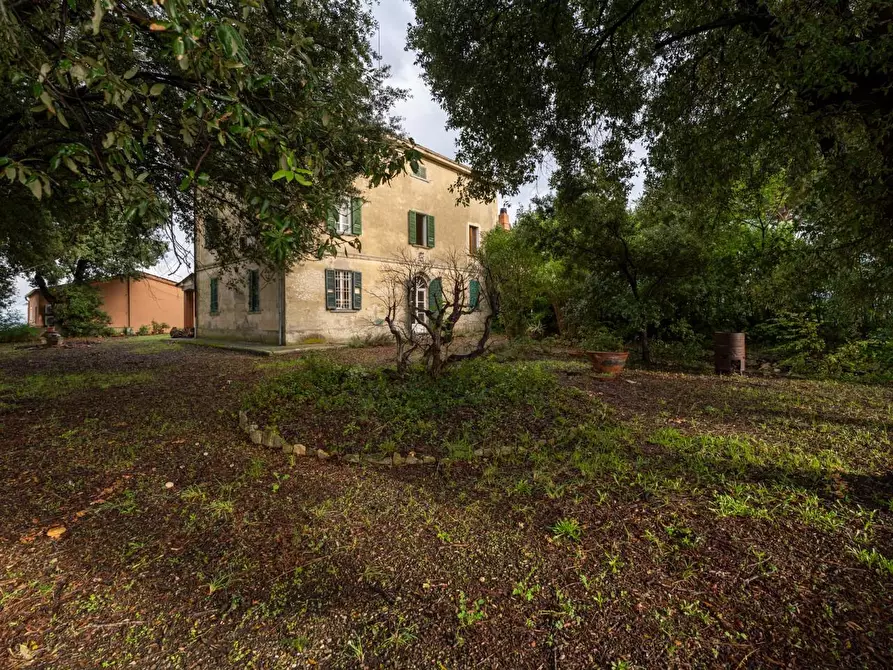 Immagine 6 di Villa in vendita  a Terricciola