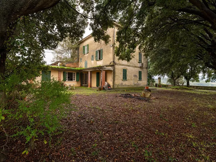 Immagine 29 di Villa in vendita  a Terricciola
