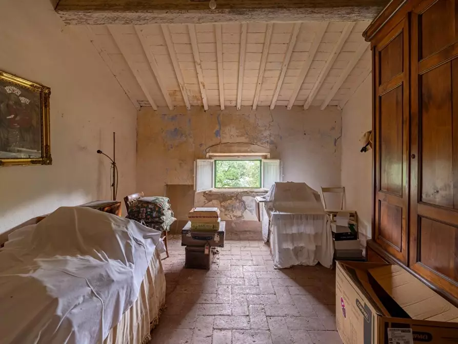 Immagine 41 di Villa in vendita  a Terricciola