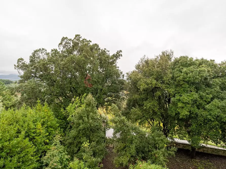 Immagine 42 di Villa in vendita  a Terricciola