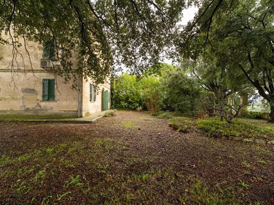 Immagine 31 di Villa in vendita  a Terricciola