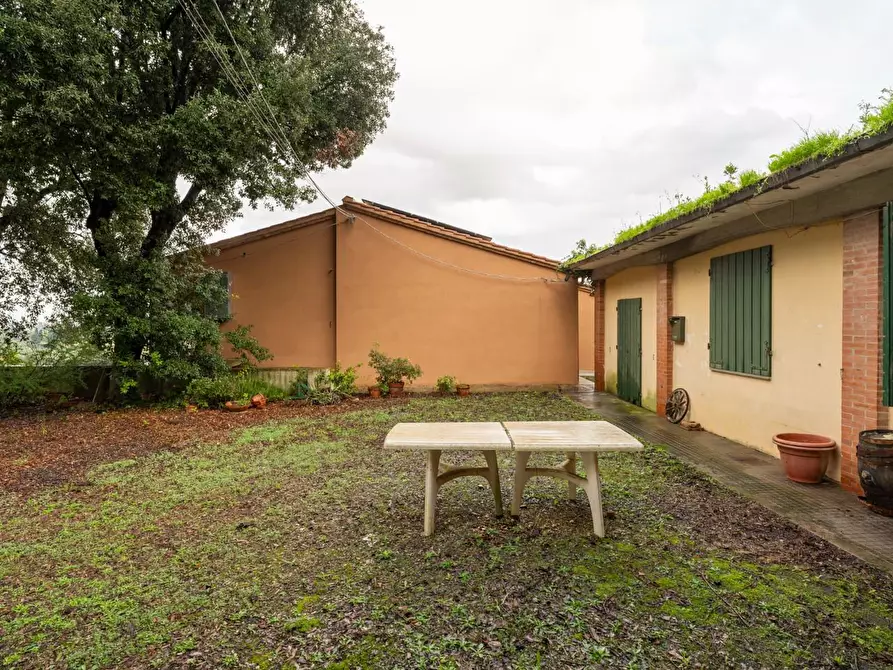 Immagine 39 di Villa in vendita  a Terricciola