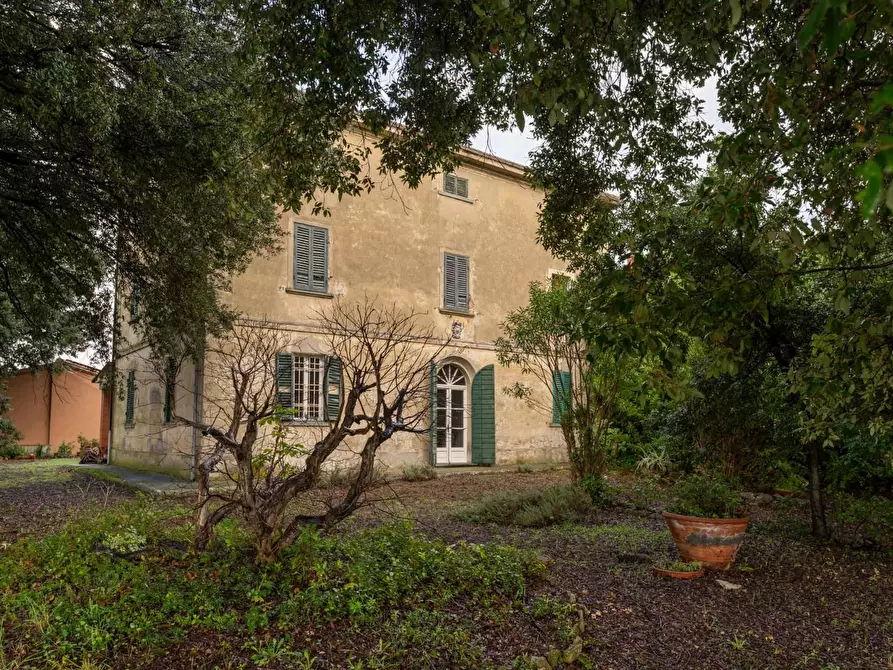 Immagine 8 di Villa in vendita  a Terricciola