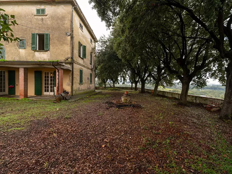 Immagine 43 di Villa in vendita  a Terricciola