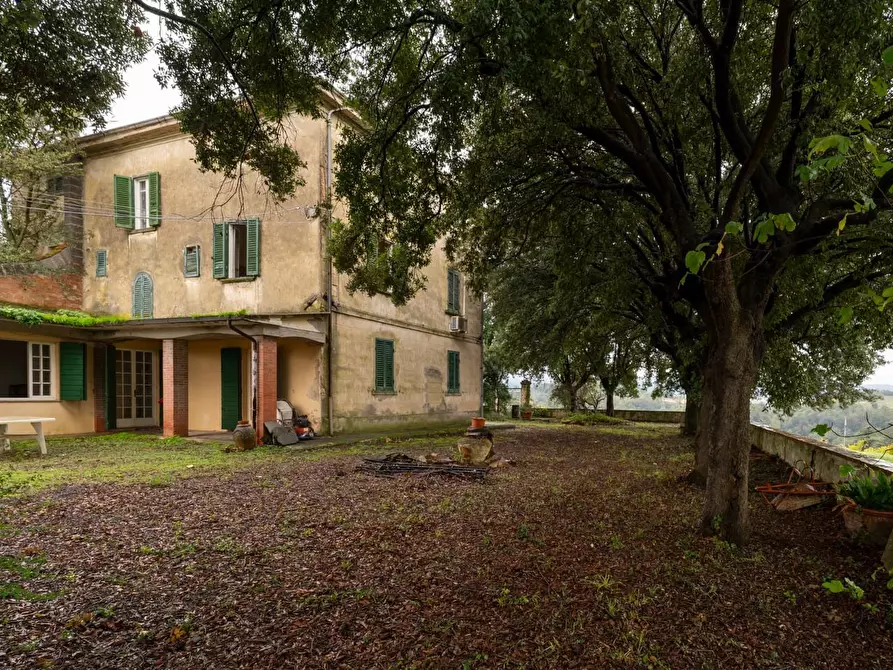 Immagine 7 di Villa in vendita  a Terricciola