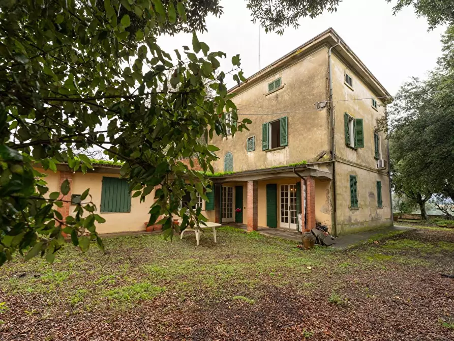 Immagine 37 di Villa in vendita  a Terricciola