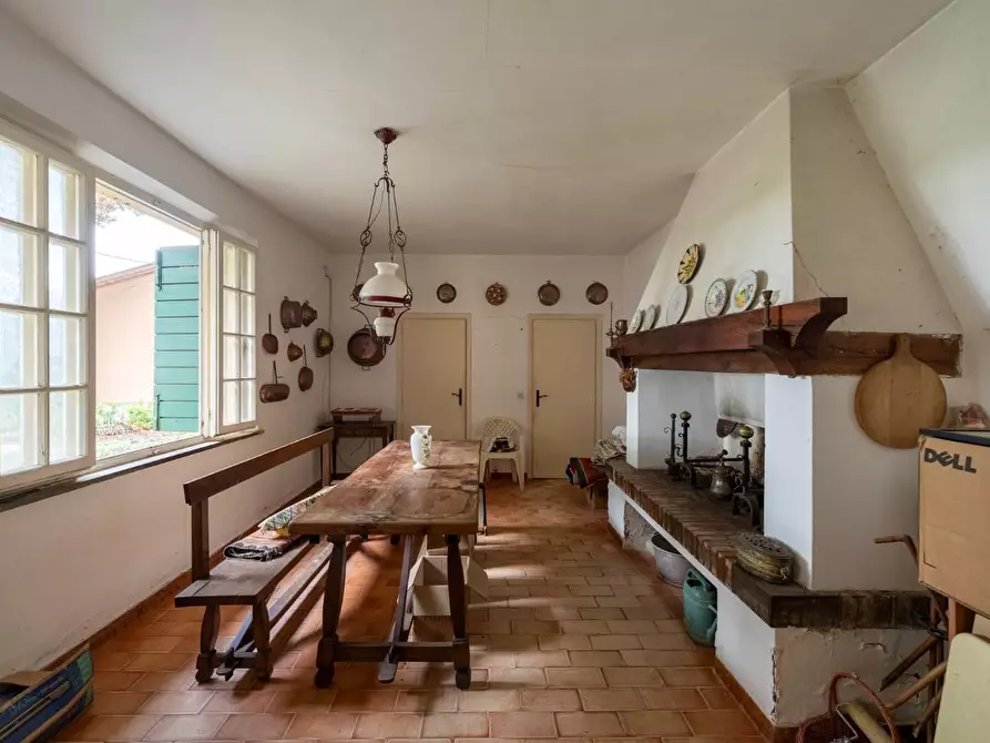 Immagine 9 di Villa in vendita  a Terricciola