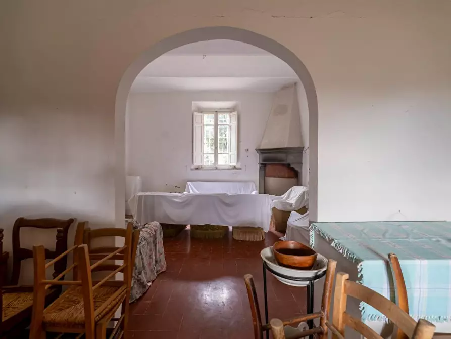 Immagine 17 di Villa in vendita  a Terricciola