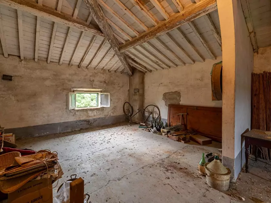 Immagine 23 di Villa in vendita  a Terricciola