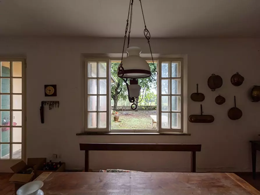 Immagine 16 di Villa in vendita  a Terricciola