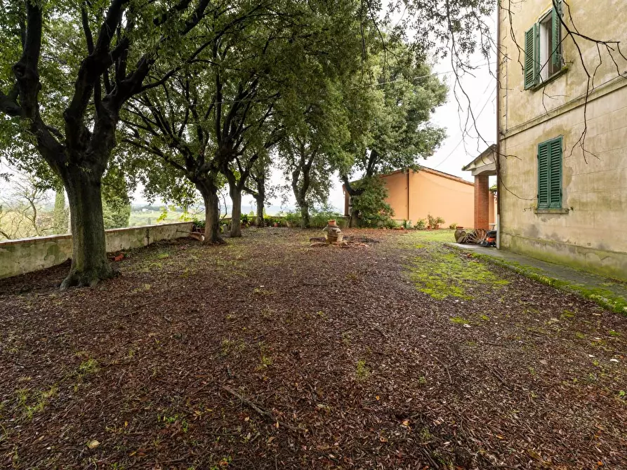 Immagine 38 di Villa in vendita  a Terricciola