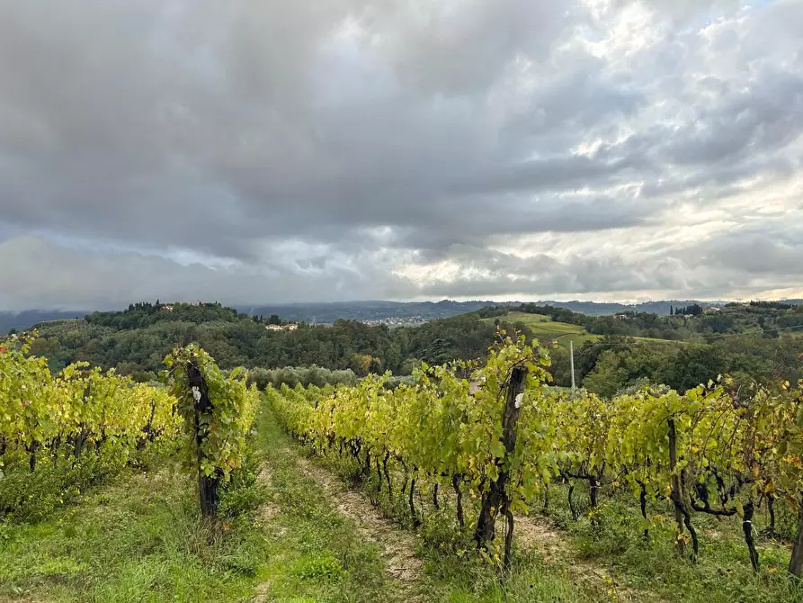 Immagine 26 di Villa in vendita  a Terricciola