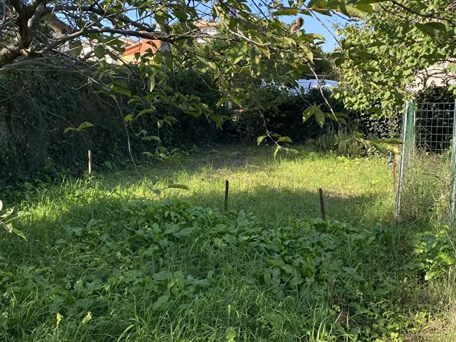 Immagine 22 di Appartamento in vendita  a Campiglia Marittima