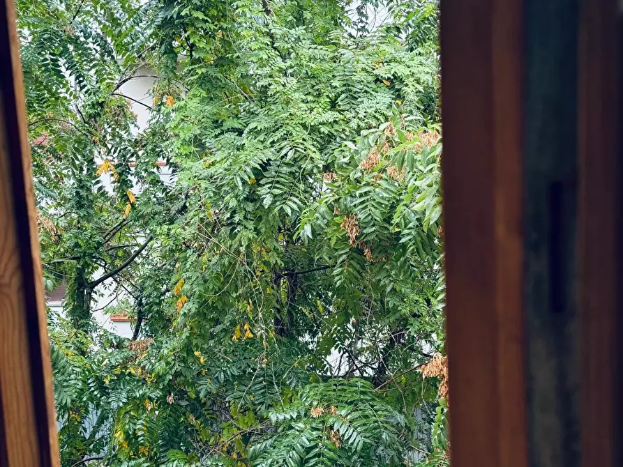 Immagine 9 di Appartamento in vendita  a Cascina