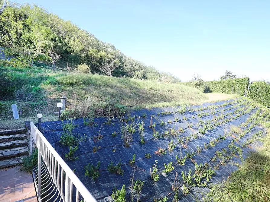 Immagine 16 di Casa indipendente in vendita  a Fauglia