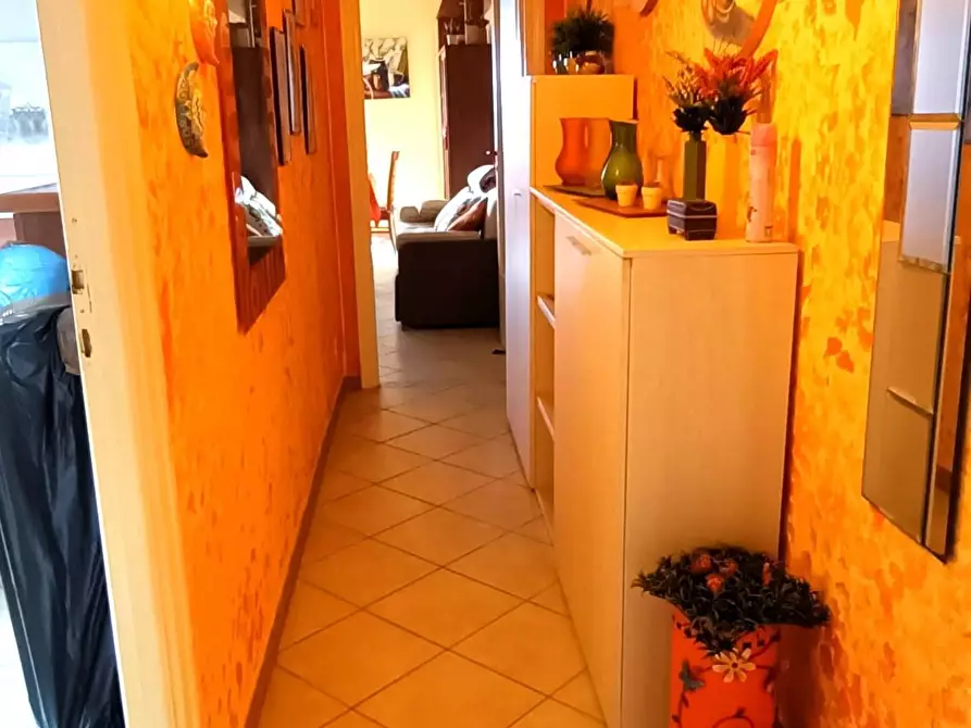 Immagine 3 di Appartamento in vendita  a Pontedera