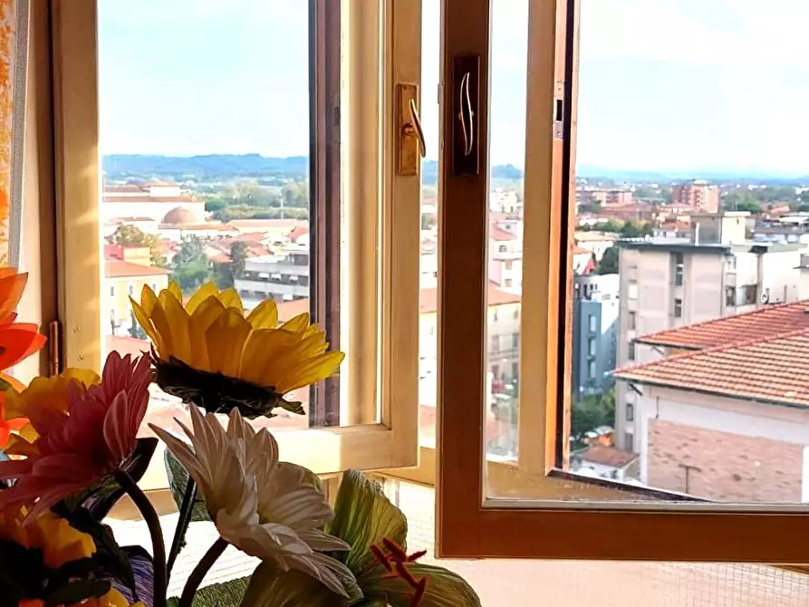 Immagine 5 di Appartamento in vendita  a Pontedera