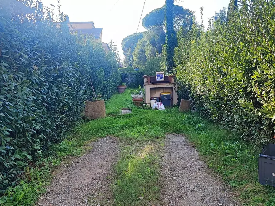 Immagine 22 di Terratetto in vendita  a Capannoli