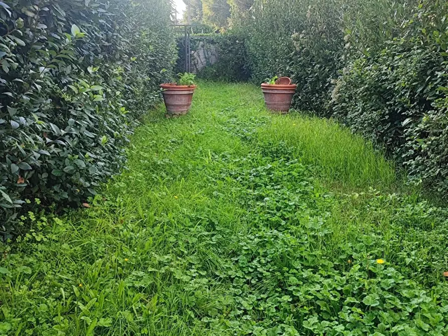 Immagine 15 di Terratetto in vendita  a Capannoli