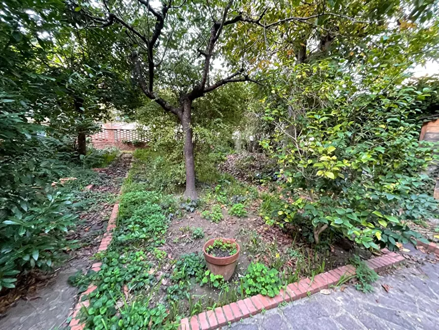 Immagine 27 di Palazzo in vendita  a San Miniato