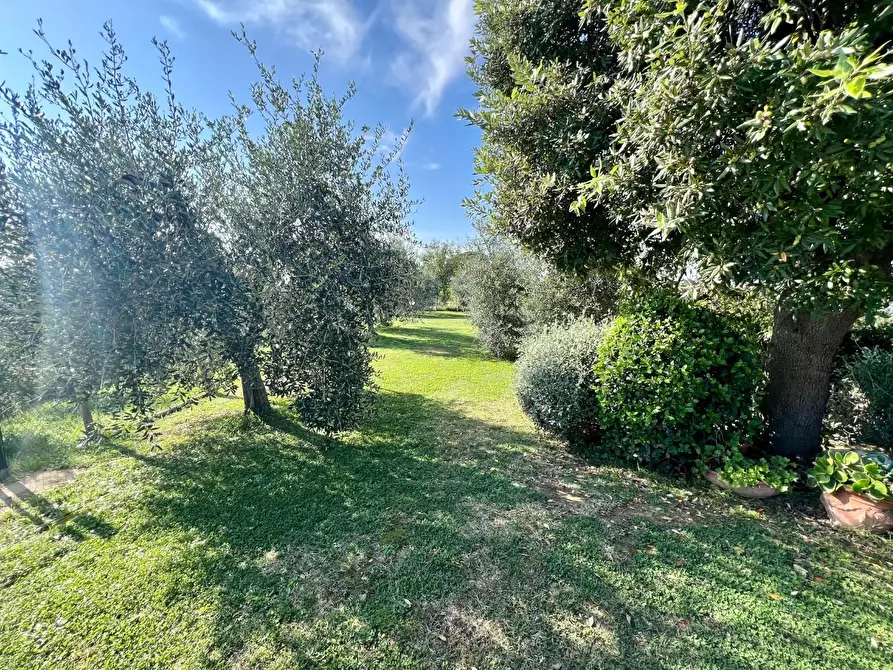 Immagine 6 di Casa indipendente in vendita  a Palaia