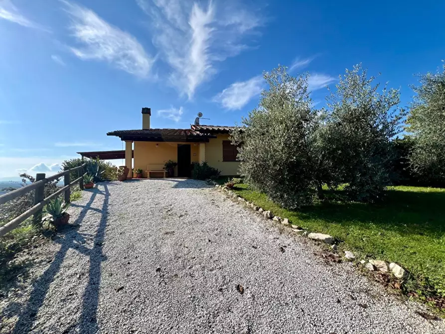 Immagine 13 di Casa indipendente in vendita  a Palaia