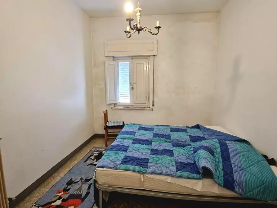 Immagine 23 di Villetta a schiera in vendita  a Crespina Lorenzana