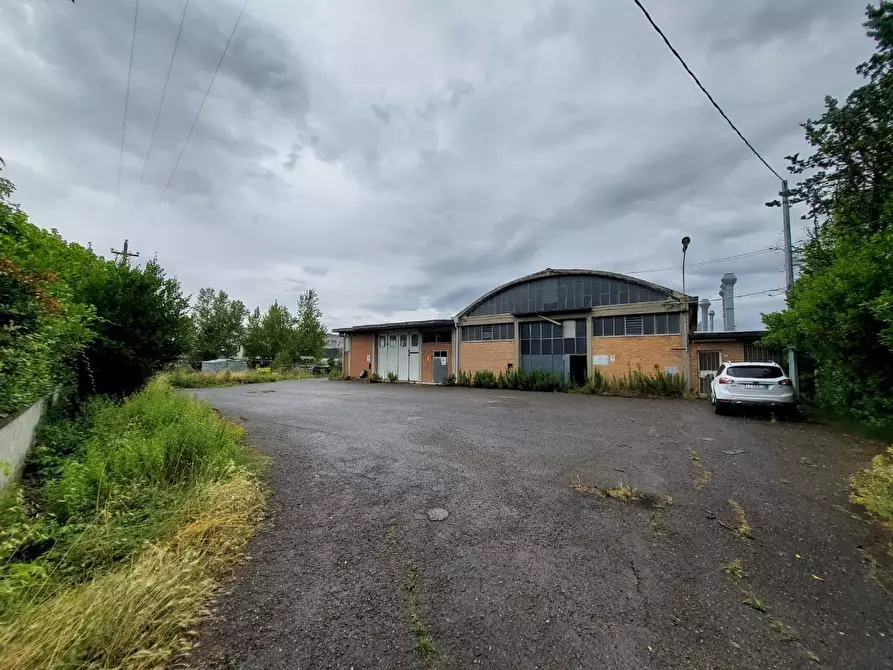 Immagine 6 di Capannone industriale in affitto  a Ponsacco