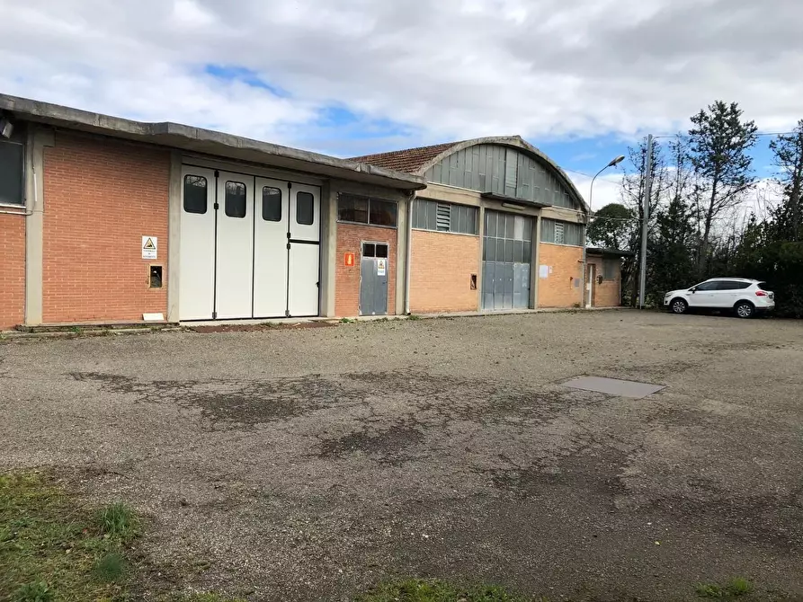Immagine 2 di Capannone industriale in affitto  a Ponsacco