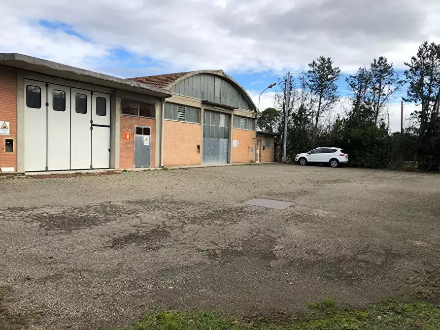 Immagine 5 di Capannone industriale in affitto  a Ponsacco