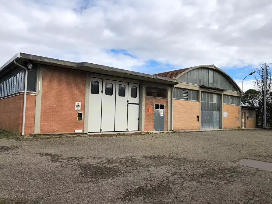 Immagine 7 di Capannone industriale in affitto  a Ponsacco