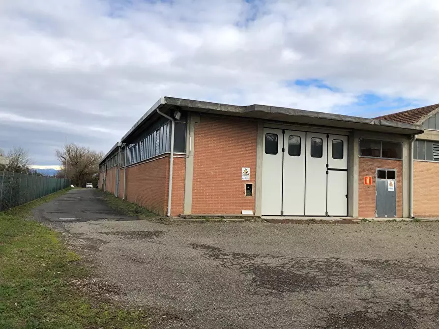 Immagine 4 di Capannone industriale in affitto  a Ponsacco