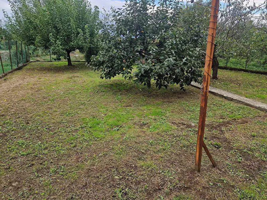 Immagine 26 di Villa in vendita  a Poggio A Caiano