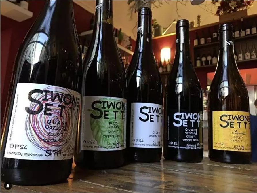 Immagine 3 di Attività commerciale in vendita  a Pisa