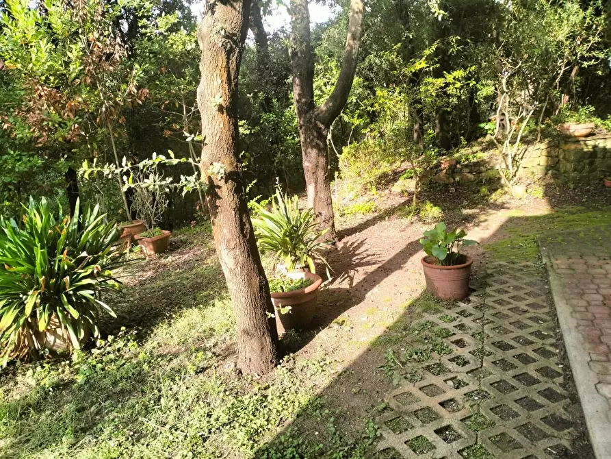 Immagine 16 di Villetta a schiera in vendita  a Livorno