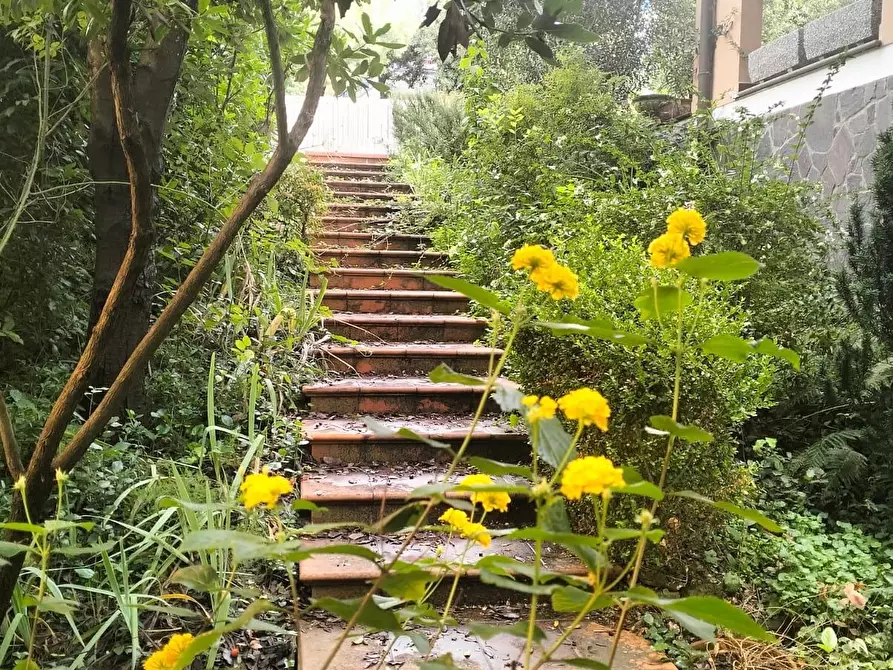 Immagine 20 di Villetta a schiera in vendita  a Livorno