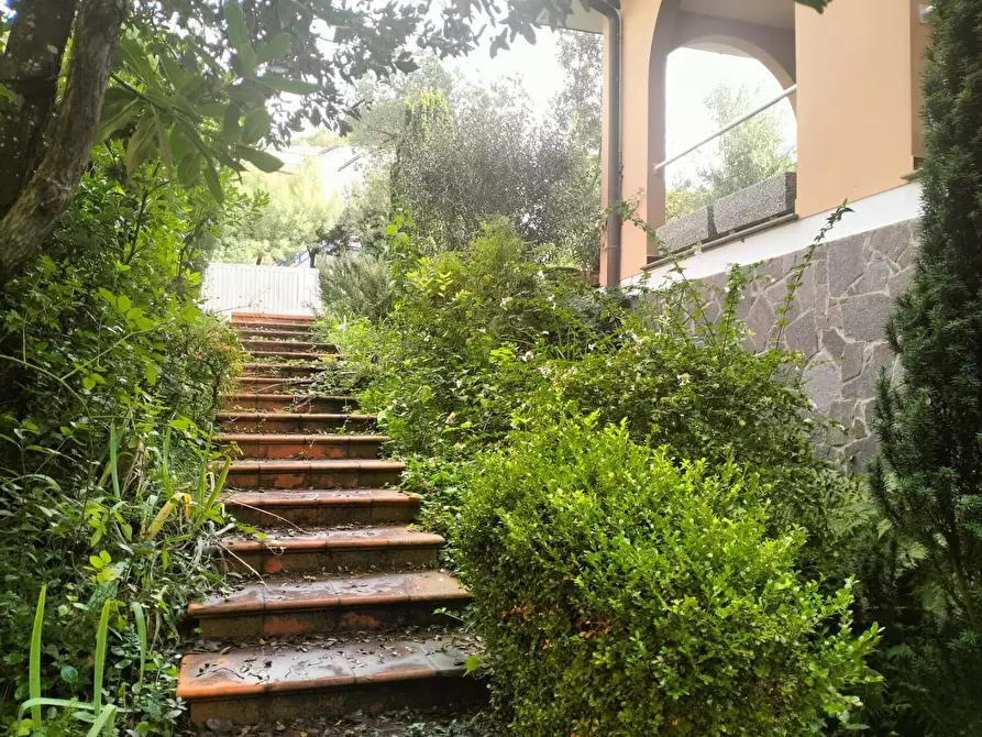 Immagine 4 di Villetta a schiera in vendita  a Livorno