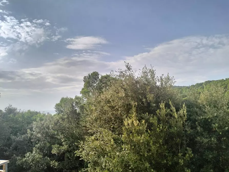 Immagine 55 di Villetta a schiera in vendita  a Livorno