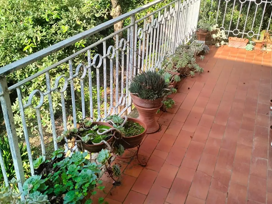 Immagine 39 di Villetta a schiera in vendita  a Livorno