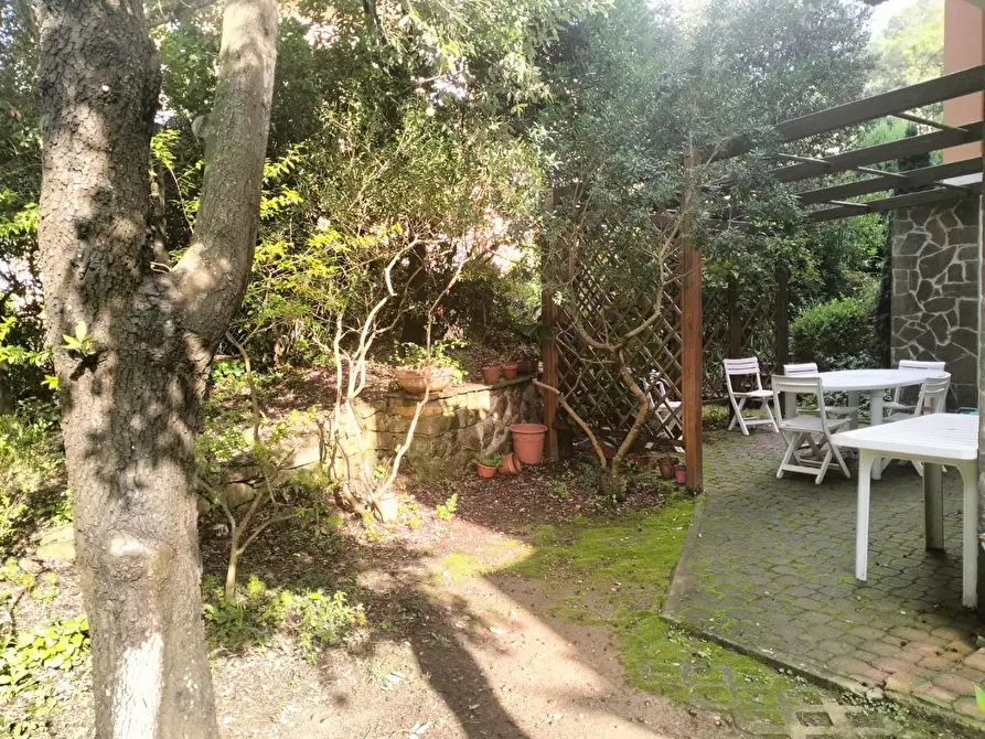 Immagine 15 di Villetta a schiera in vendita  a Livorno