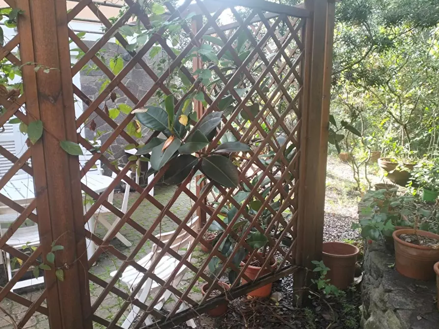 Immagine 24 di Villetta a schiera in vendita  a Livorno