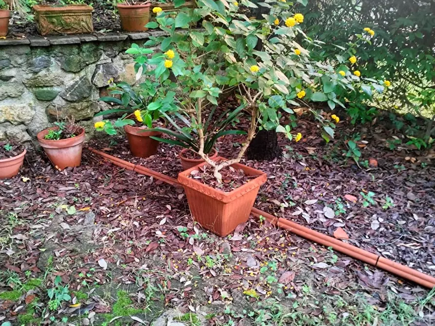 Immagine 84 di Villetta a schiera in vendita  a Livorno