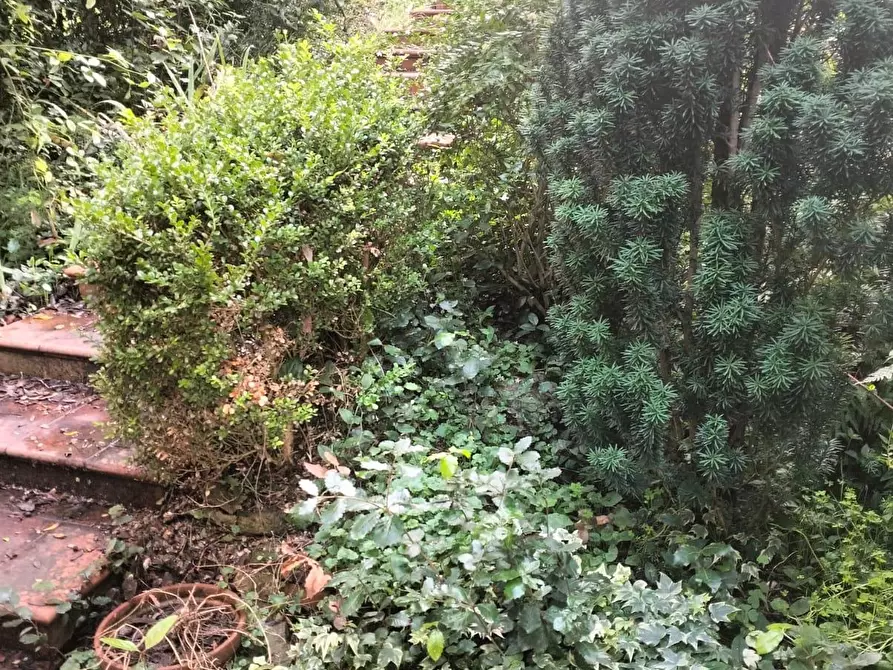 Immagine 85 di Villetta a schiera in vendita  a Livorno